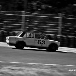 dzintara volga-5558